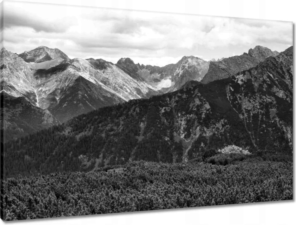 Vászonkép 90x60 Tátra Lengyel hegyek Kilátás