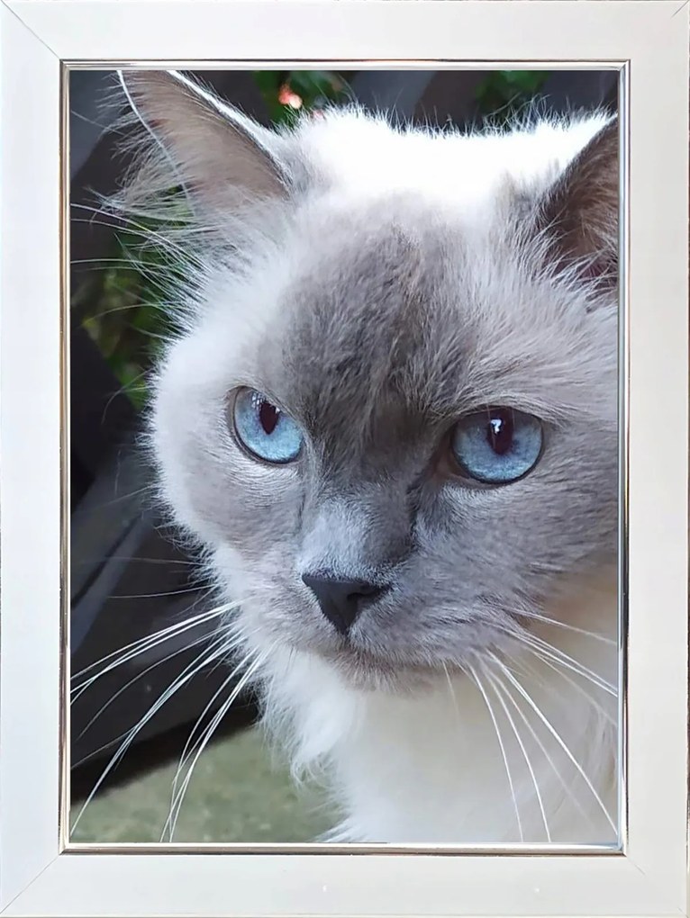 Kész Keret Állításhoz És Akasztáshoz 15X21-ES Képekhez, Titán Fehér