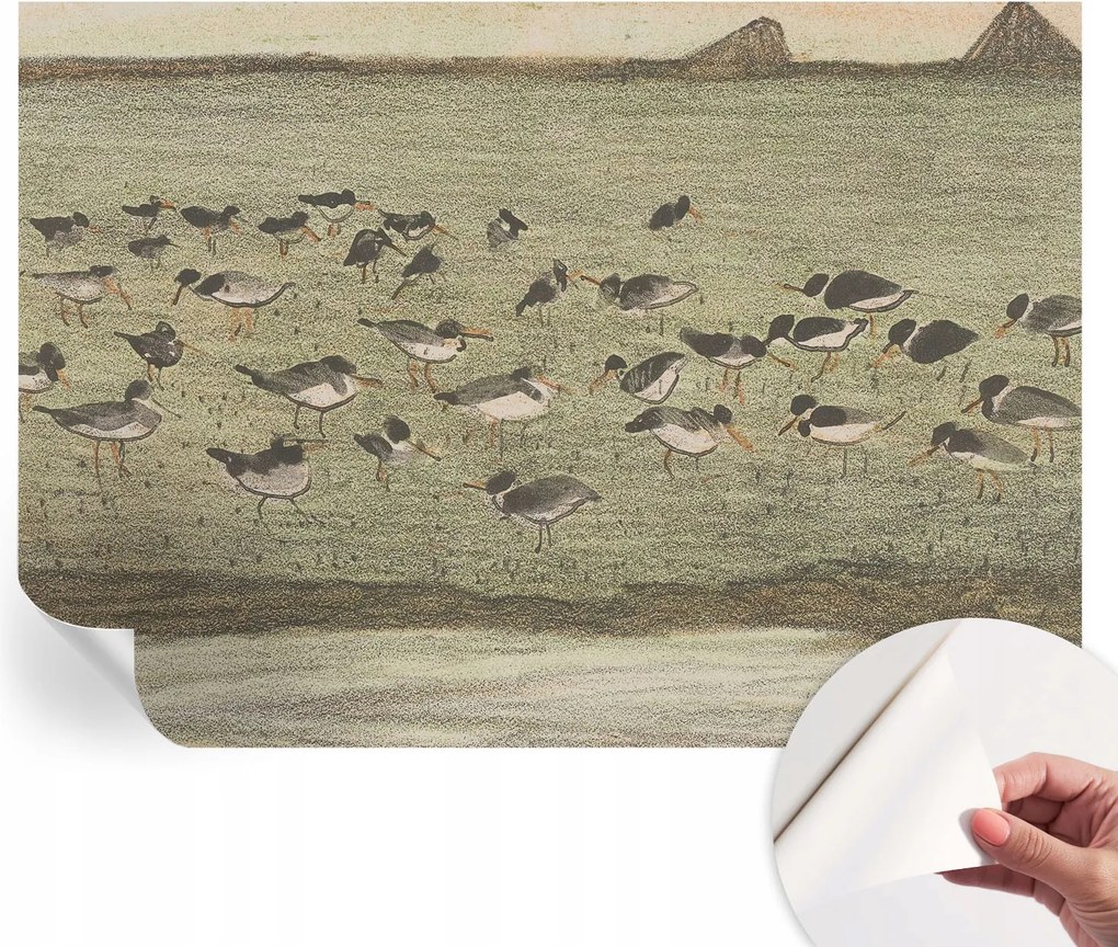 Dekoratív öntapadós fotótapéta Hálószobába Madár nyugalom 208x146 cm