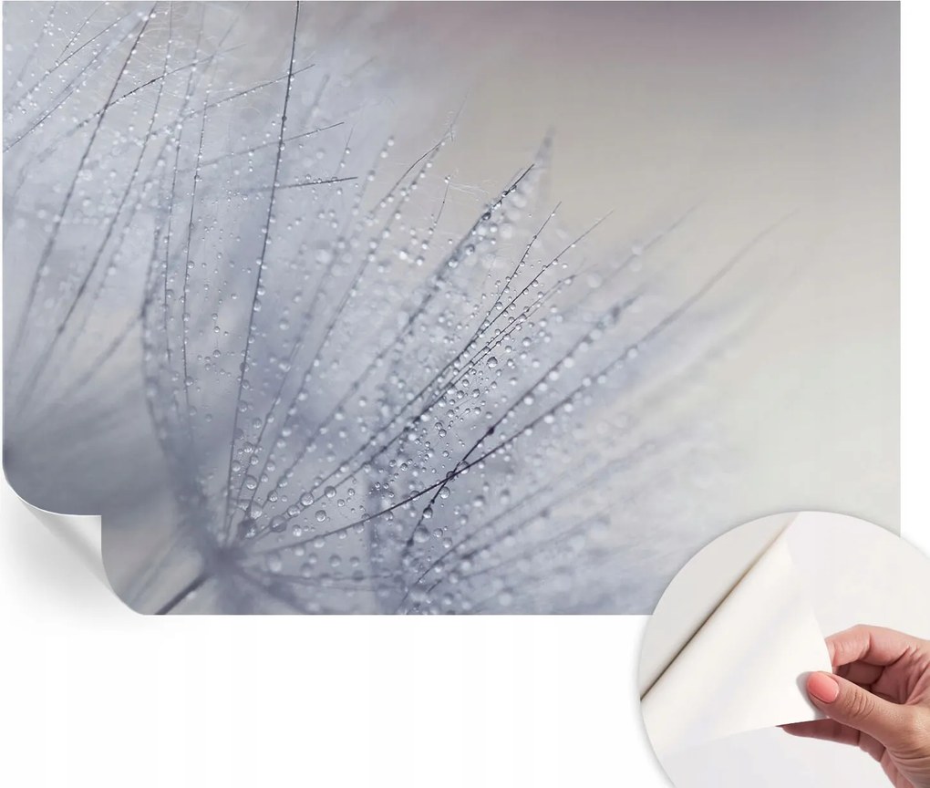 Modern fotótapéta Öntapadós Mosható Pitypang gyöngyös 152x104 cm