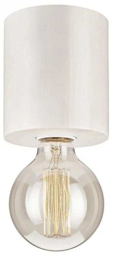 Mennyezeti lámpa 1xE27/60W/230V