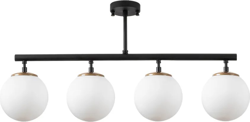 Fazli - 10426