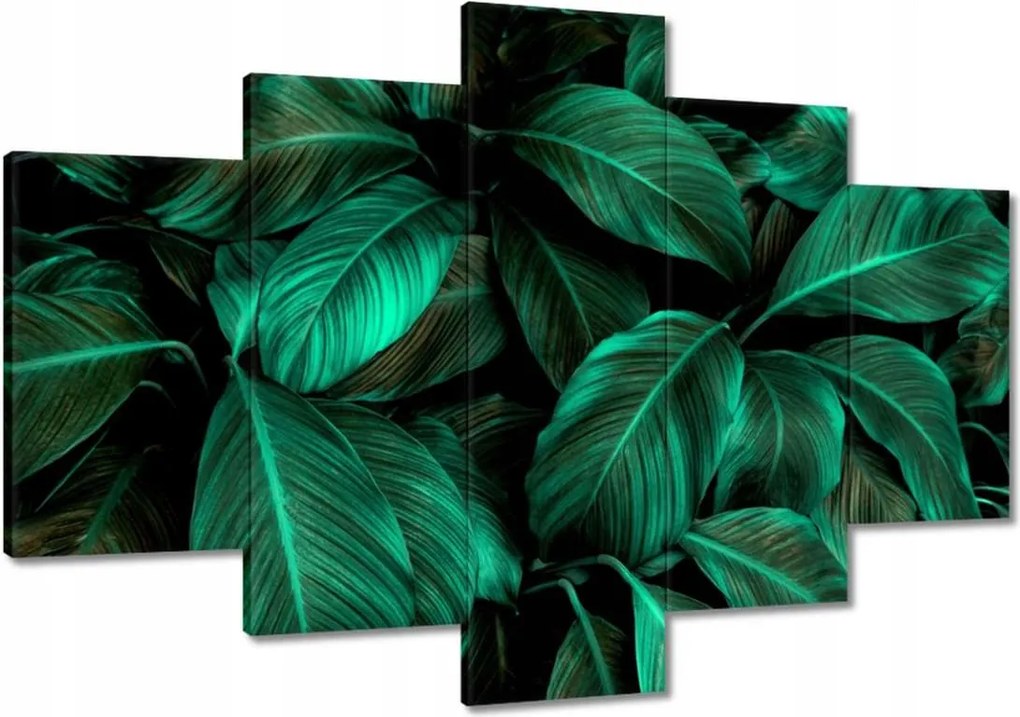 Vászonkép 120x80 Gyönyörű türkiz levelek