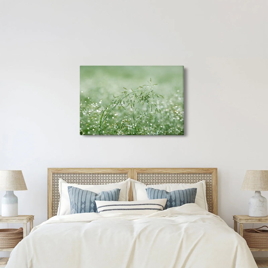 Kép - Reggeli harmat a fűszálakon (90x60 cm)