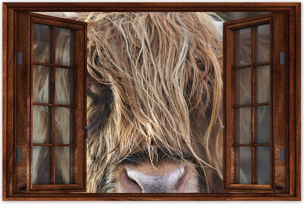 Poszterek 90x60 Skót tehén szarvakkal