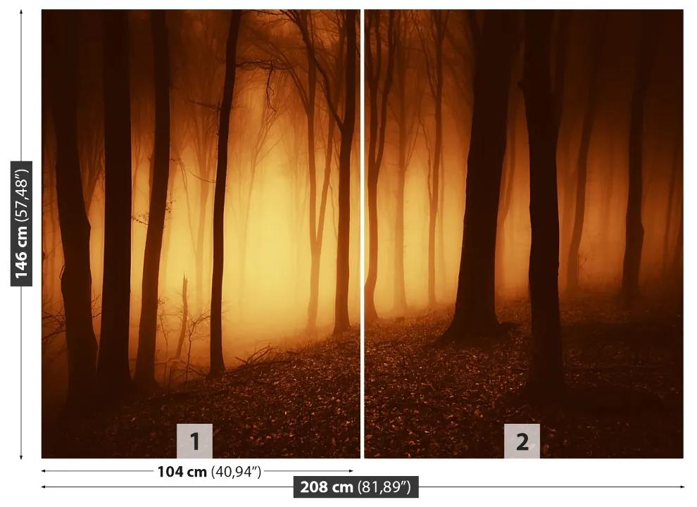 Fotótapéta ijesztő erdő 104x70 cm