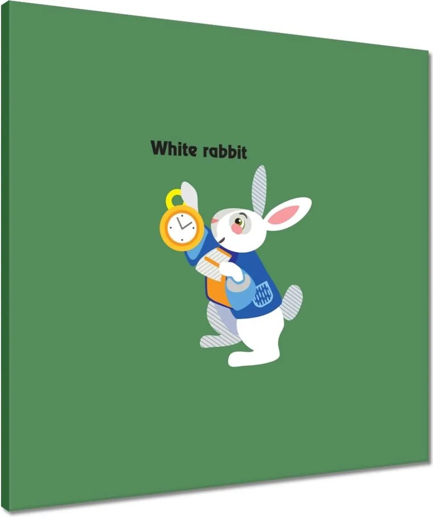 Vászonkép 50x50 Nyúl Csodaországban