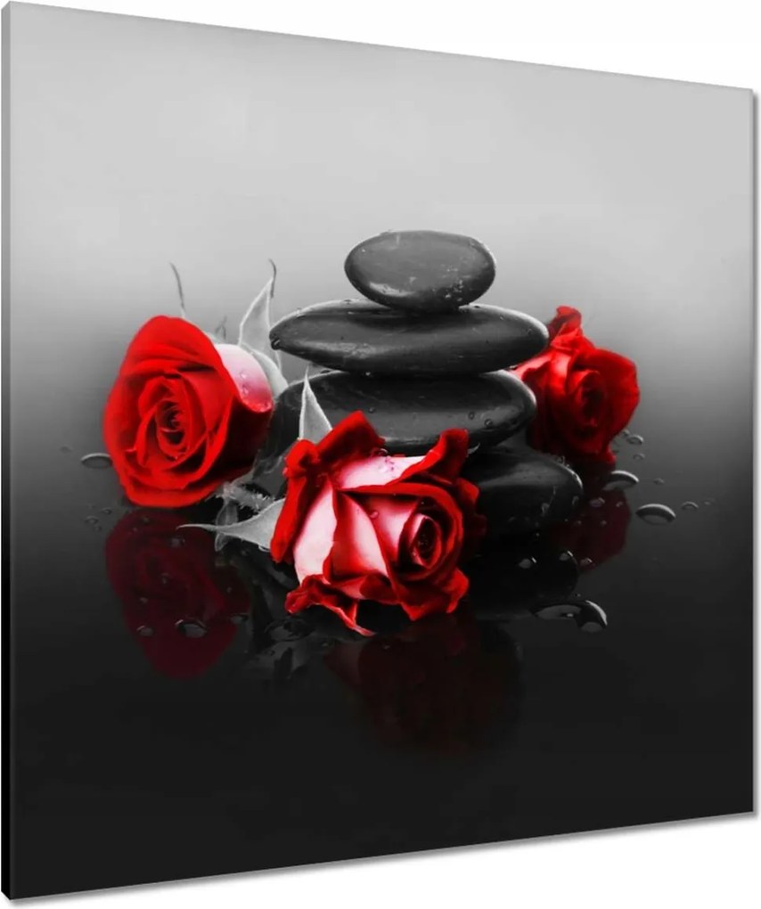 Vászonkép 80x80 Vörös rózsa Wellness