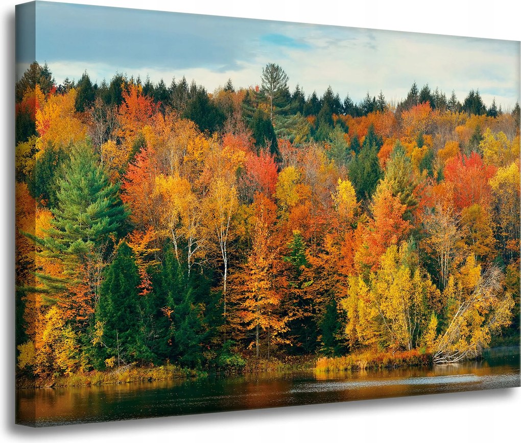 Vászonkép Színes Levelek Fák Ősz Természet 70x50 cm