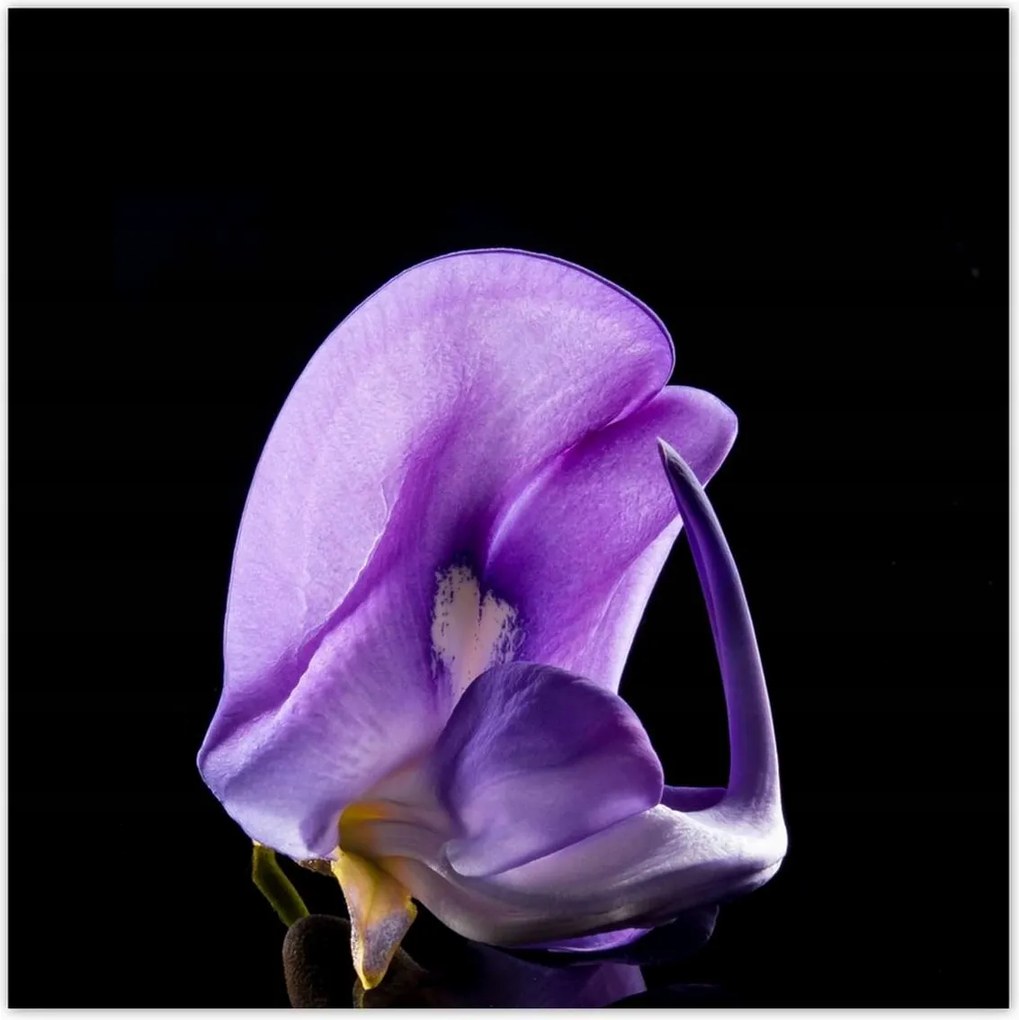 Poszterek 100x100 Nőnap Ajándék Love