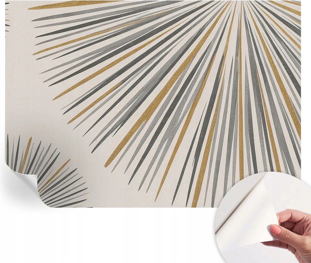 Fali fotótapéta Hálószobába Nappaliba Geometrikus legyezők 312x219 cm