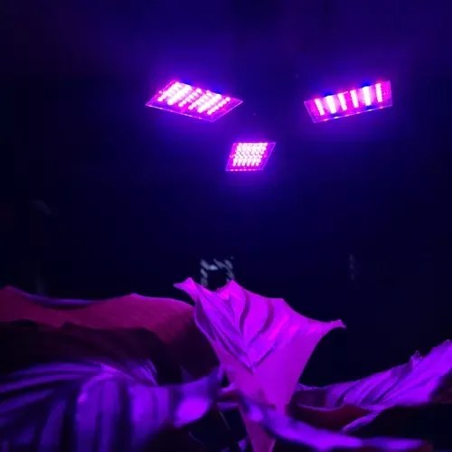 LED növénylámpa - Gardlov 00026309 - 108 diódával