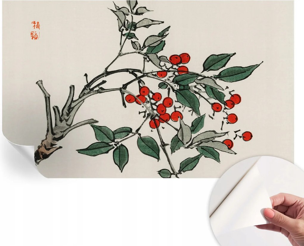 Design fali fotótapéta öntapadós bogyós ág 416x254 cm