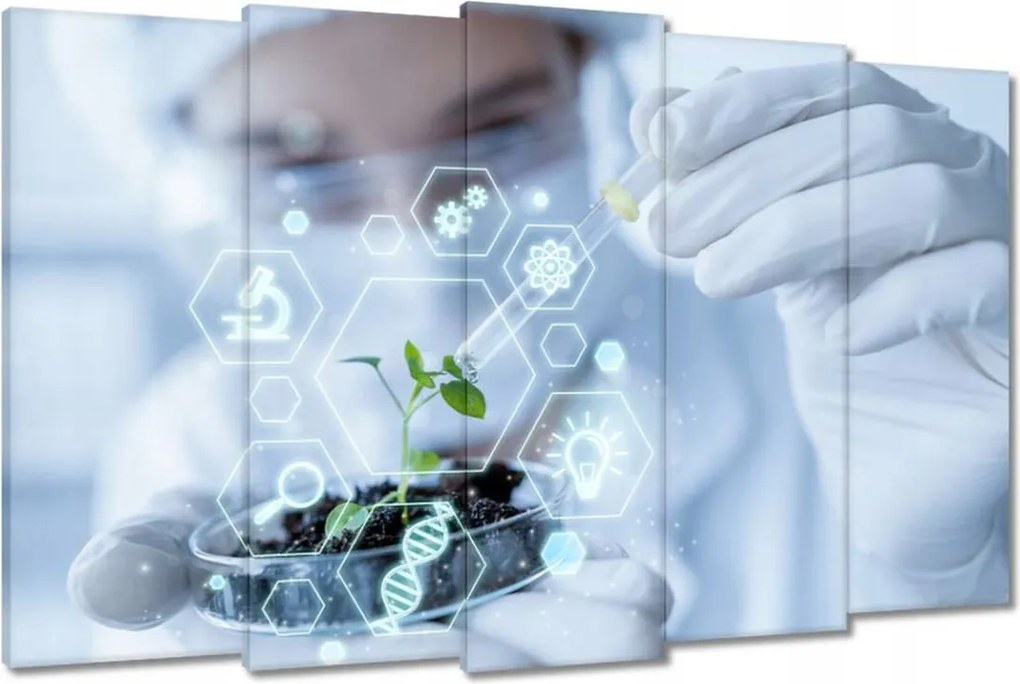 Festmények 150x95 Téma az iskola osztályába Biológia