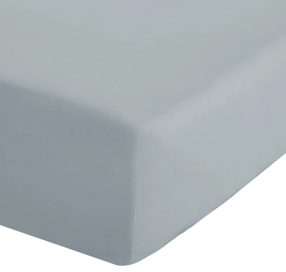 Szürkéskék gumis perkál lepedő 90x190 cm Easy Iron Percale – Catherine Lansfield