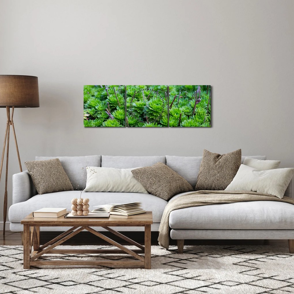 A pozsgás növények képe (órával) (90x30 cm)