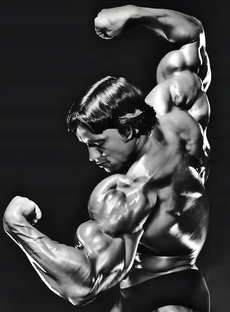 Arnold Schwarzenegger fali poszter edzőterem film Különböző Minták 40x30 cm