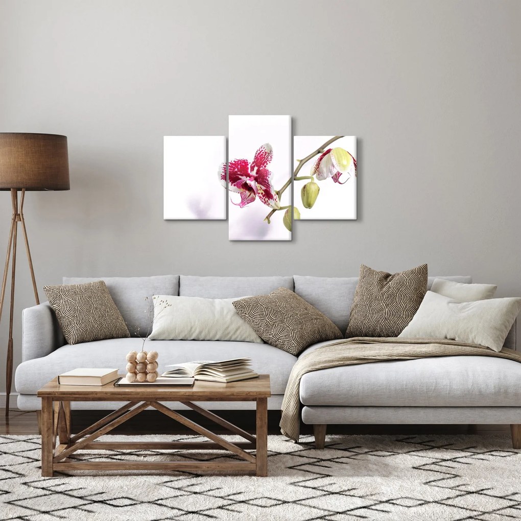 Orchidea virág képe (90x60 cm)