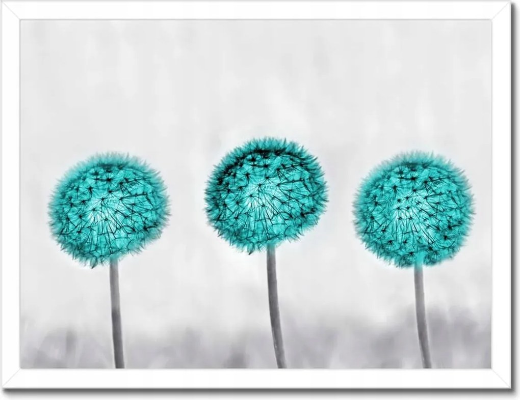 Poszterek keretben 40x30 Pitypangok