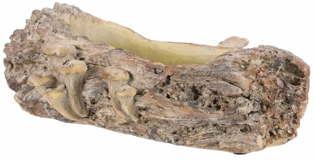 Beton burkolat - virágládika, fa gombákkal, 36 x18 x 13 cm, barna