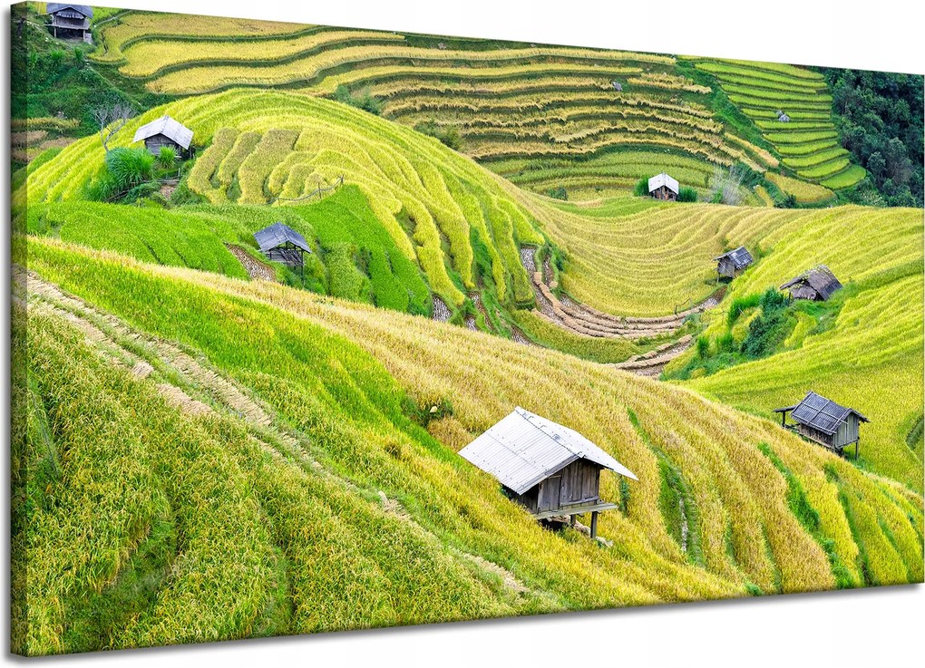 Vászonkép Természet Mezőgazdasági teraszok 120x70 cm