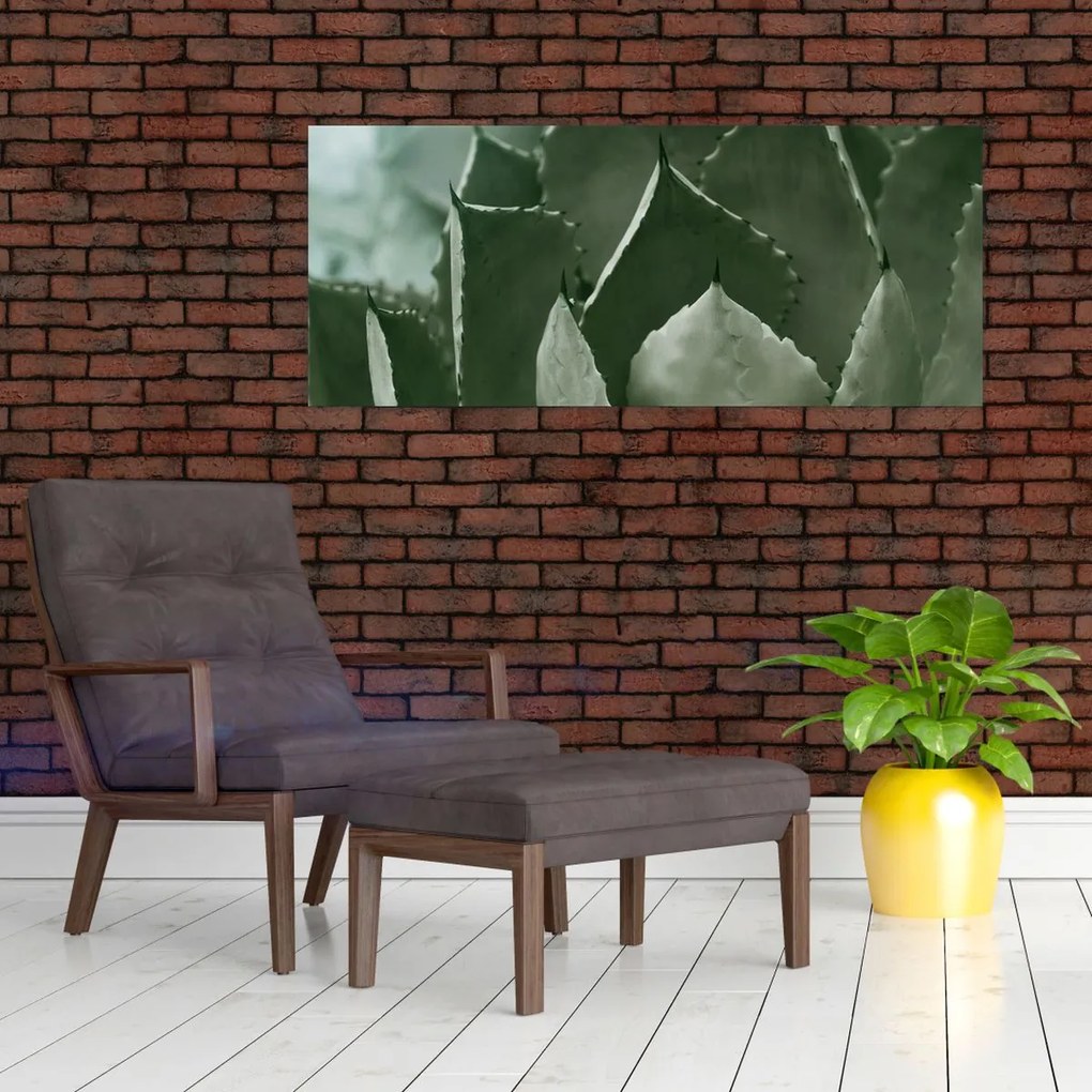 Kép - Zöld agávé (120x50 cm)