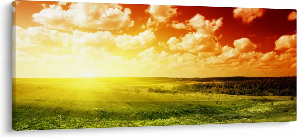 Rét képe ragyogó napfénnyel (120x50 cm)