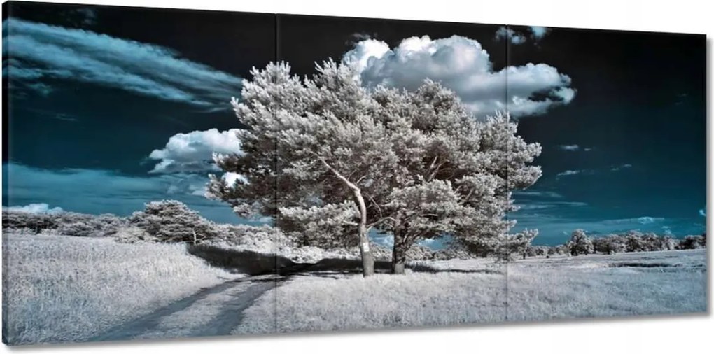 Festmények 150x70 Fa