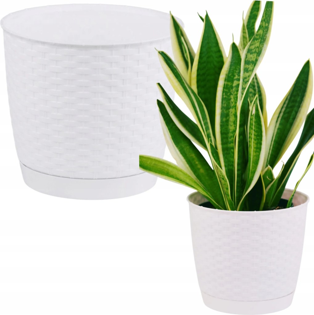 Alacsony, kerek, rattan hatású virágcserép alátéttel, 14,5 cm-es. Virágcserép alátét