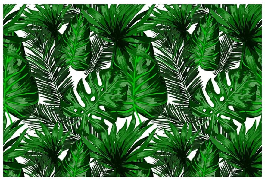 Fotótapéta trópusi levelek 104x70 cm