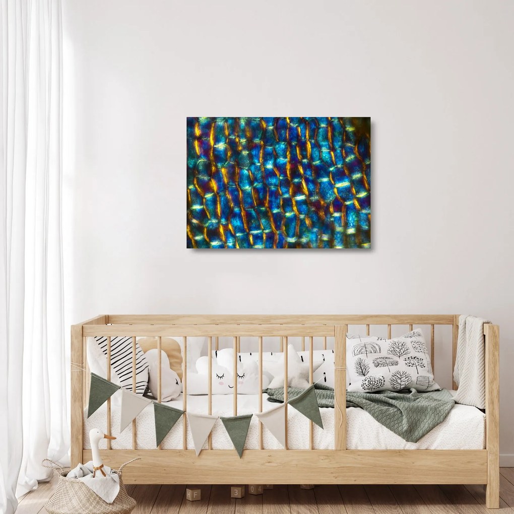 Üveg kép - Sejtfal (70x50 cm)