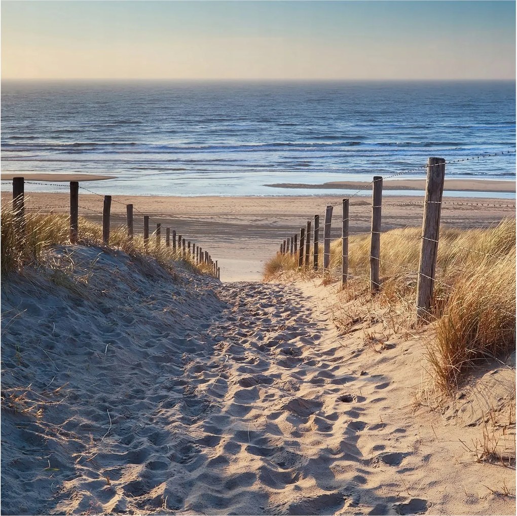 Divatos Flizelin Tapéta Ragasztóval Fali 3D Strand ösvény 250x250 Ragasztó