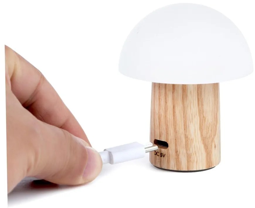 Natúr színű kőrisfa LED dimmelhető asztali lámpa (magasság 7 cm) Alice – Gingko