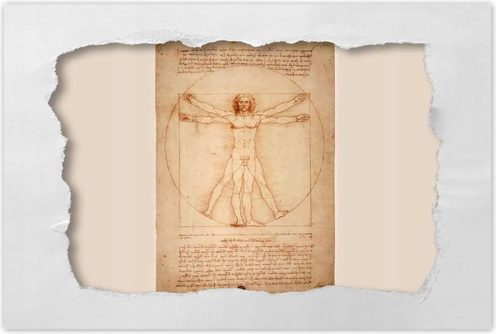 Poszterek 60x40 Vitruvius ember