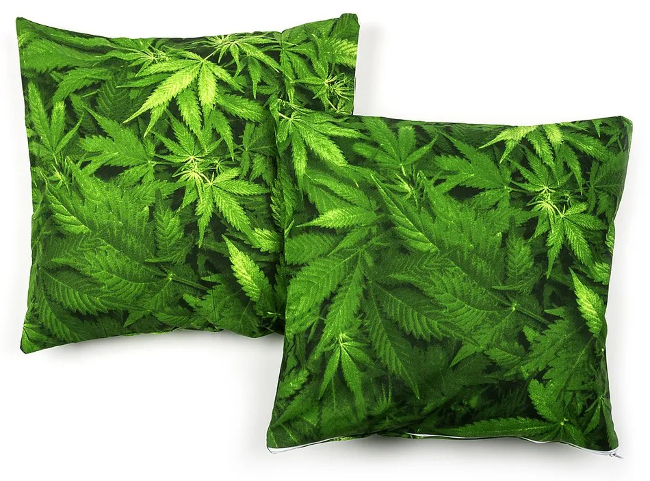 4Home kispárnahuzat  Aromatica, 40 x 40 cm, 2 db-os szett, 40 x 40 cm