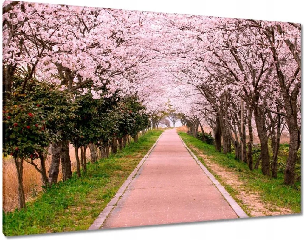 Vászonkép 100x70 Virágok