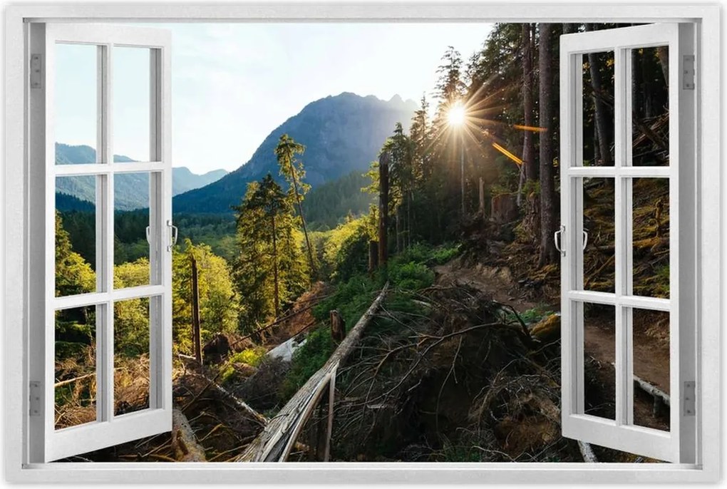 Poszterek 90x60 Hegyek Napfény Erdő Ösvény