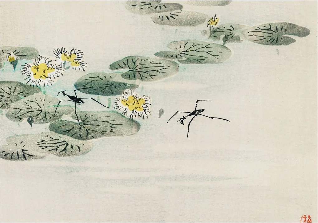 Divatos Flizelin Tapéta Ragasztóval Fali 3D Nyugodt víz 208x146 Ragasztó