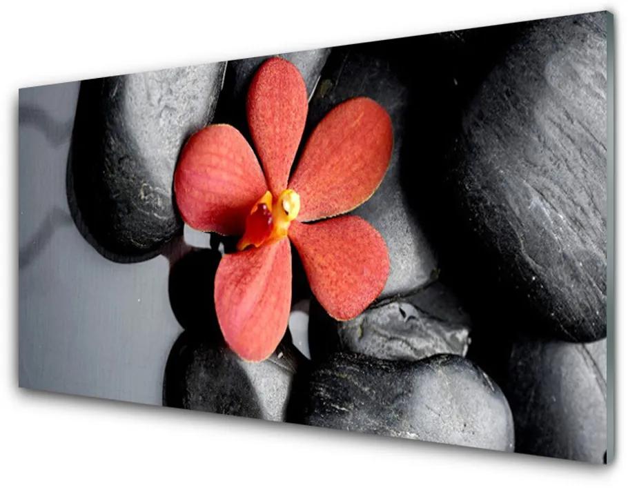 Modern üvegkép Virág Stones Art 140x70 cm