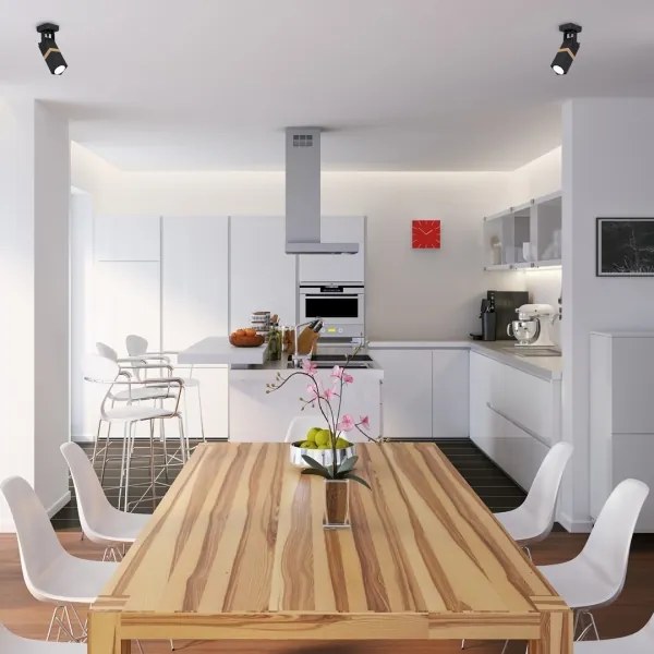 Spotlámpa VIDAR 1xGU10/25W/230V fekete