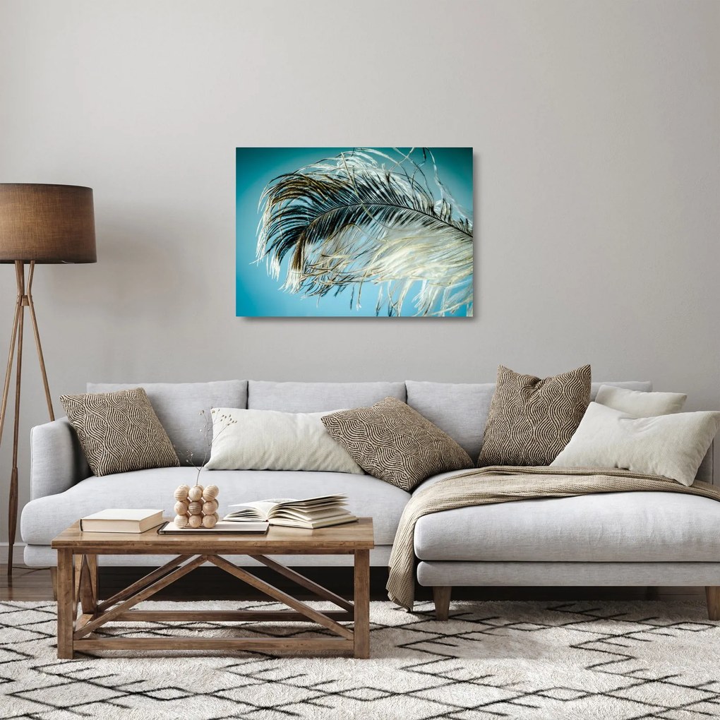 Tollas kép (üvegen) (70x50 cm)