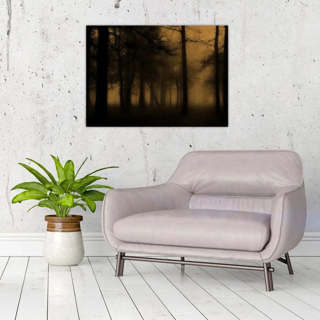 Kép - Sötét erdő (70x50 cm)