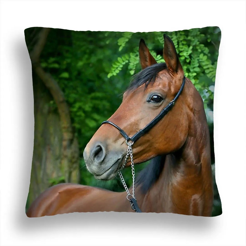 Ló Párna 33 Gesztenye Fa Zöld Páfrány 40*40