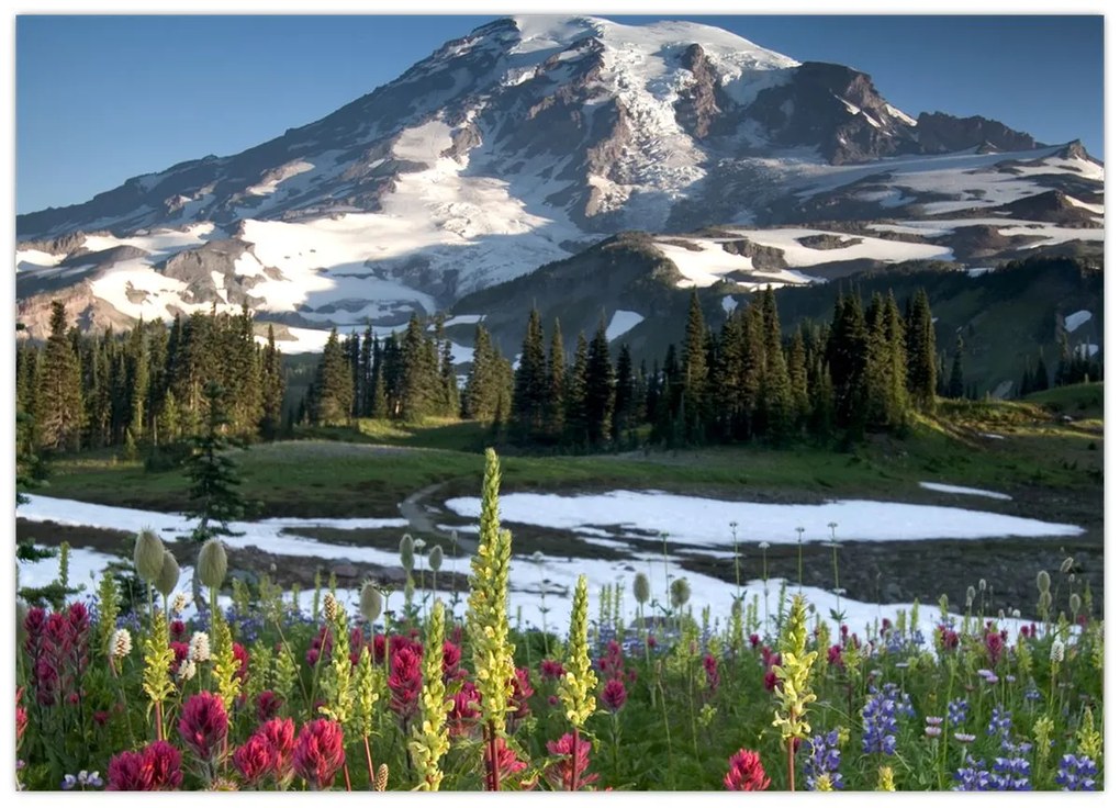 Üveg kép - Mount Rainier (70x50 cm)