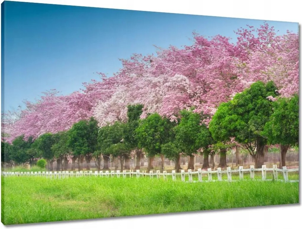 Vászonkép 90x60 Cseresznyés tájkép