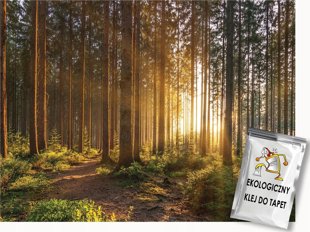 Fotótapéta Flizelina Természet Erdő Fák Nap Kilátás 400x280 ragasztó