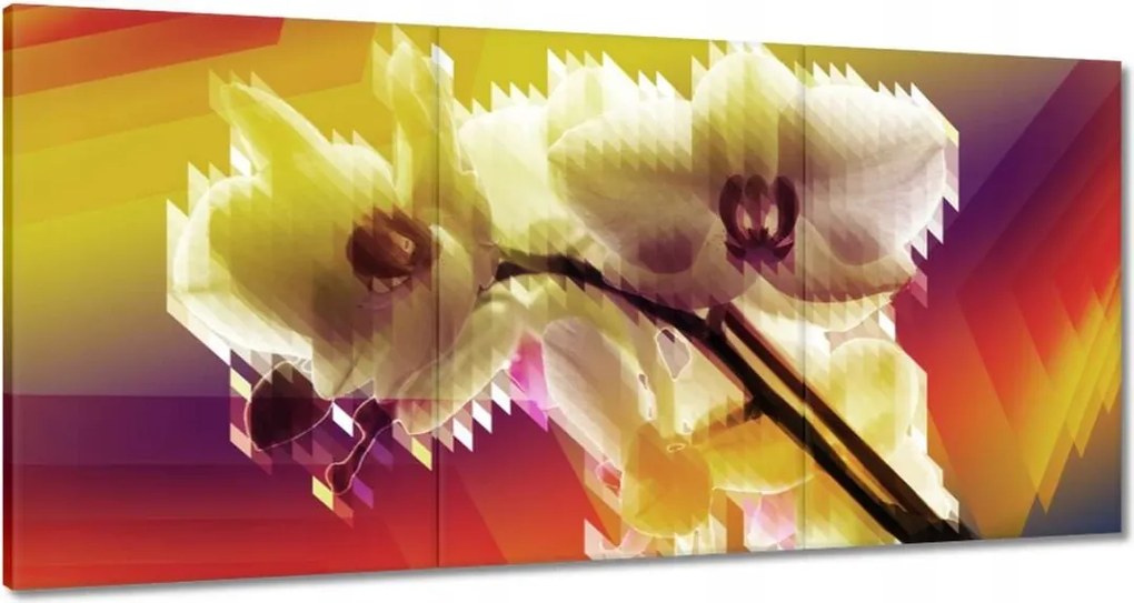Vászonkép 180x90 Orchidea Gyönyörű virágok