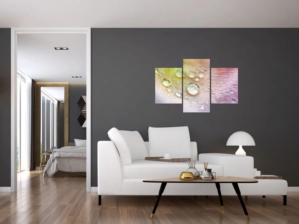 Kép - Harmatcseppek (90x60 cm)
