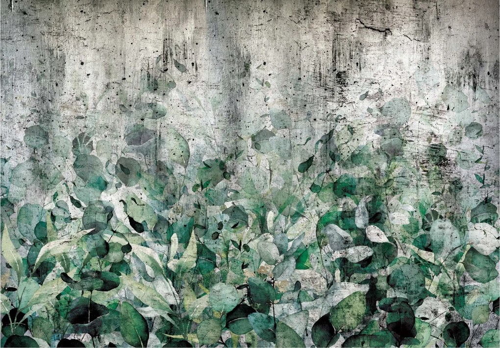 Fotótapéta Levelek Beton Természet Hálószoba 312x219