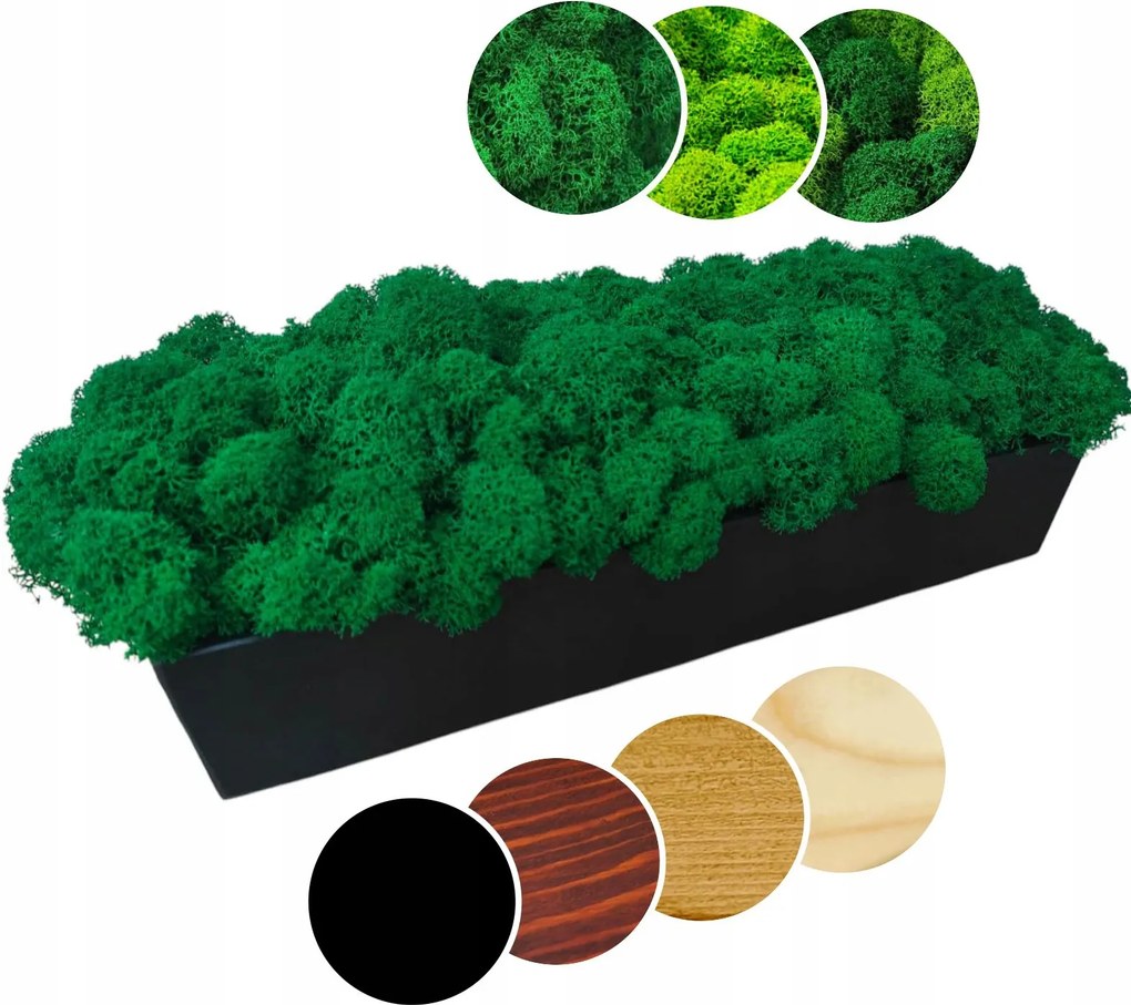 Fa kaspó 60cm Mohával Chrobotka hosszú moha natúr